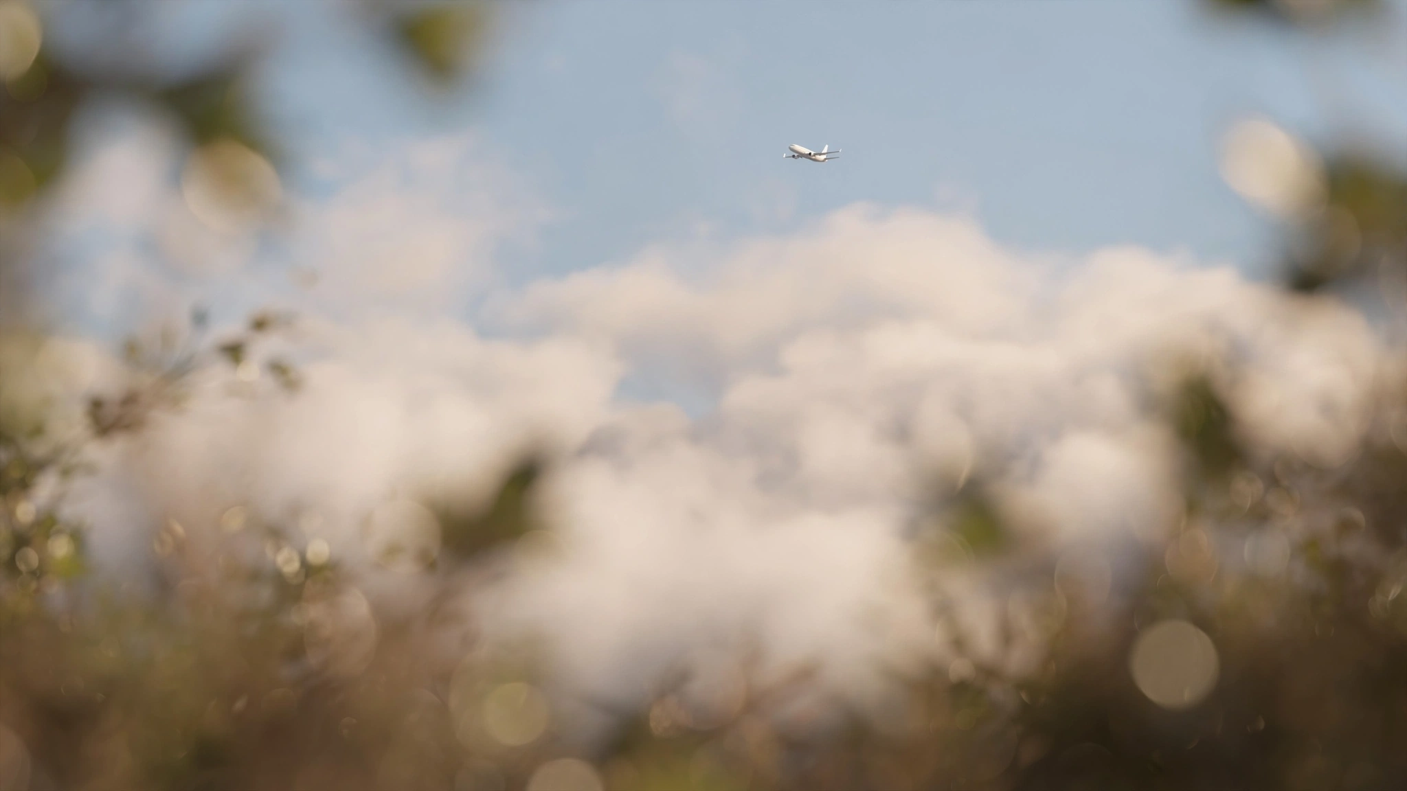 Symbolische Darstellung eines Flugzeugs im Traum, Freiheit und Ambition